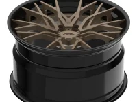 FORGEDLITE-RS20