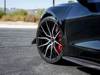 FORGED LITE- MC20